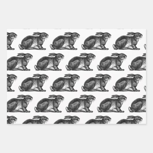 Bunny Rabbit Wrapping Paper Sheets Black & White (Voorkant 3)