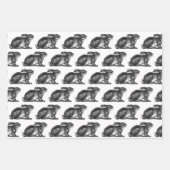 Bunny Rabbit Wrapping Paper Sheets Black & White (Voorkant 2)