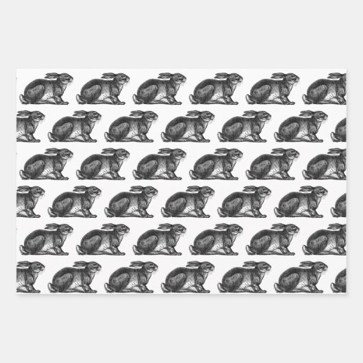 Bunny Rabbit Wrapping Paper Sheets Black & White (Voorkant 2)