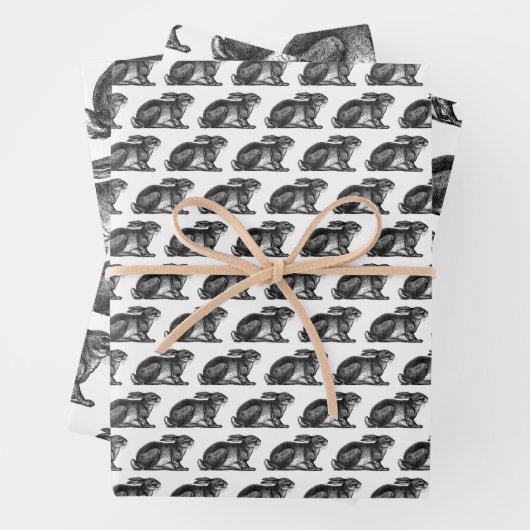 Bunny Rabbit Wrapping Paper Sheets Black & White (In situ)