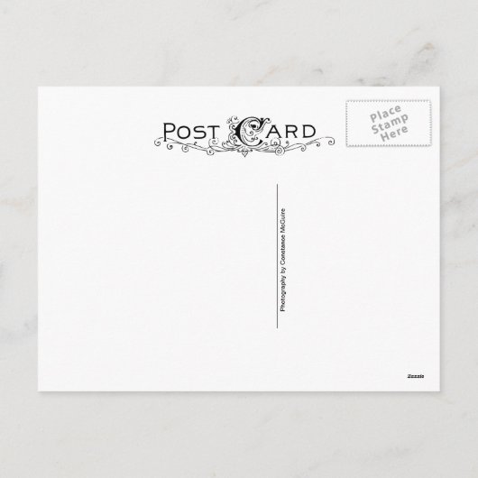 Bunny Rabbit Zittend in een kom Retro Pasen Feestdagenkaart (Achterkant)