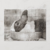 Bunny Rabbit Zittend in een kom Retro Pasen Feestdagenkaart (Voorkant)
