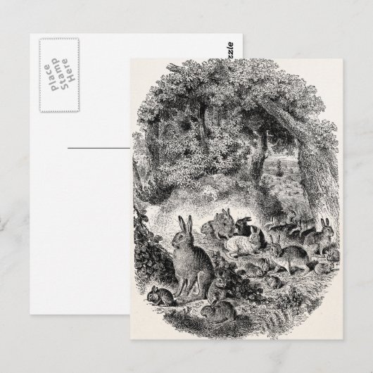  Bunny Rabbits 1800s Bunnies Rabbit Briefkaart (Voorkant / Achterkant)
