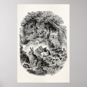 Bunny Rabbits 1800s Bunnies Rabbit Poster