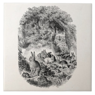 Bunny Rabbits 1800s Bunnies Rabbit Tegeltje