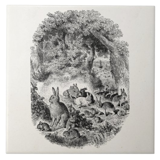  Bunny Rabbits 1800s Bunnies Rabbit Tegeltje (Voorkant)