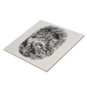  Bunny Rabbits 1800s Bunnies Rabbit Tegeltje (Zijkant)