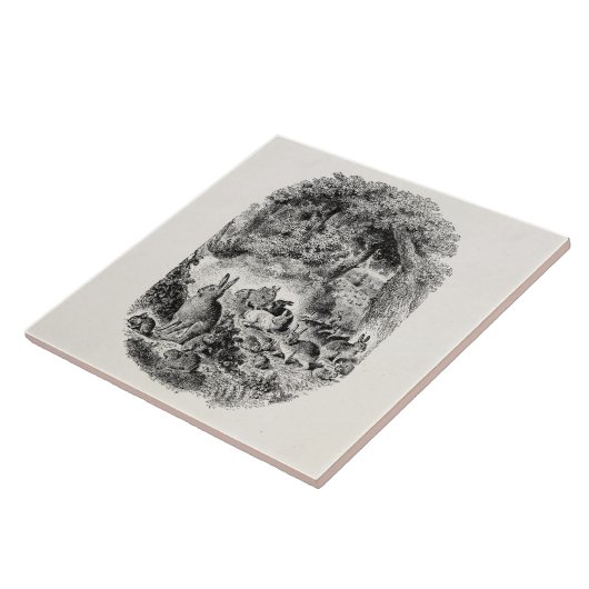  Bunny Rabbits 1800s Bunnies Rabbit Tegeltje (Zijkant)