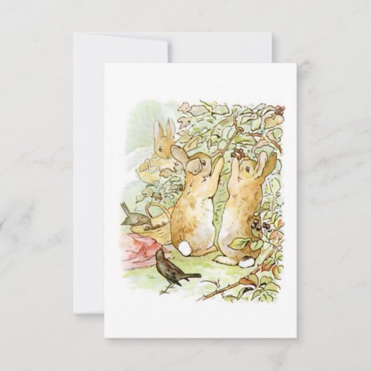 Bunny Rabbits: Blackberry Picking (Beatrix Potter) Kaart (Voorkant)
