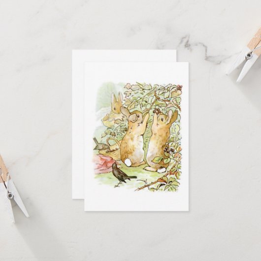 Bunny Rabbits: Blackberry Picking (Beatrix Potter) Kaart (Voorkant / Achterkant in situ)