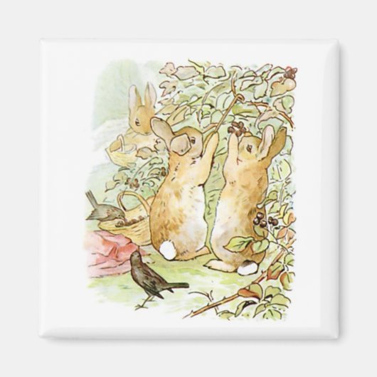 Bunny Rabbits: Blackberry Picking (Beatrix Potter) Magneet (Voorkant)