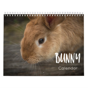 Bunny (Rabbits) kalender 2021