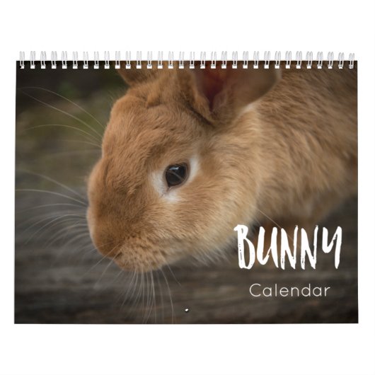 Bunny (Rabbits) kalender 2023 (Hoes)