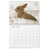 Bunny (Rabbits) kalender 2023 (Jan 2026)