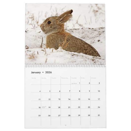 Bunny (Rabbits) kalender 2023 (Jan 2026)