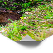 Bunny Rabbits Schattigee Natuur Poster (Hoek)