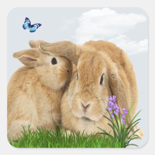 Bunny rabbitt vierkante sticker (Voorkant)