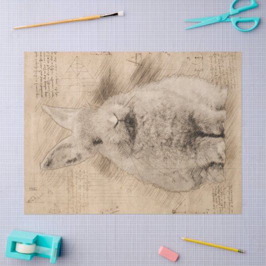 Bunny Rustic Grunge Tekening Tissuepapier (Craft)