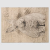 Bunny Rustic Grunge Tekening Tissuepapier (Voorkant)