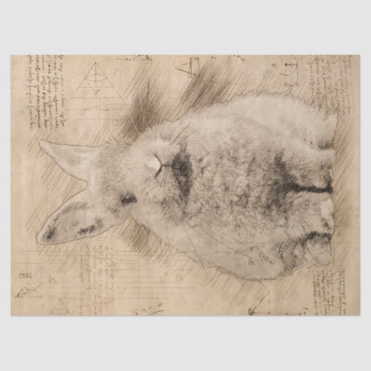 Bunny Rustic Grunge Tekening Tissuepapier (Voorkant)