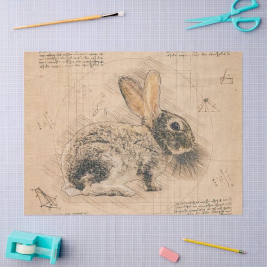 Bunny Rustic Grunge Tekening Tissuepapier (Craft)