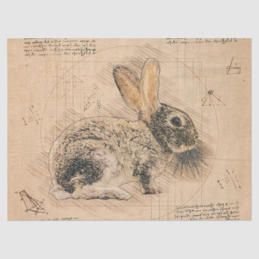Bunny Rustic Grunge Tekening Tissuepapier (Voorkant)