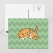 Bunny Sage Chevron Duo Briefkaart (Voorkant / Achterkant)