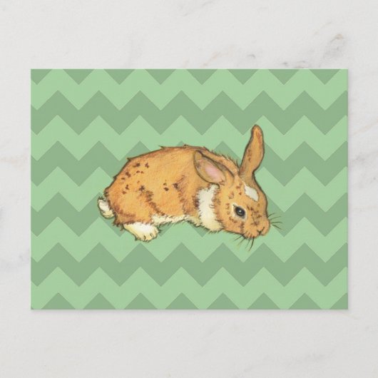 Bunny Sage Chevron Duo Briefkaart (Voorkant)