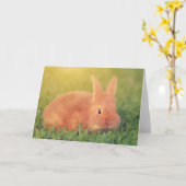 Bunny Says Hi Kaart (Gele Bloem)