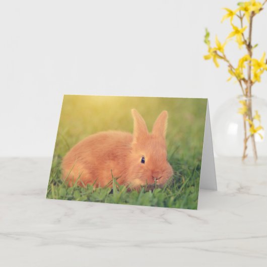 Bunny Says Hi Kaart (Gele Bloem)