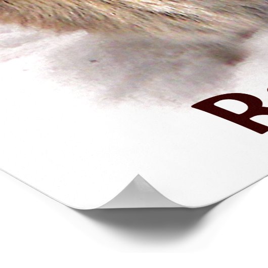 Bunny Seeking Shelter Earth Day Poster (Hoek)