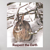Bunny Seeking Shelter Earth Day Poster (Voorkant)