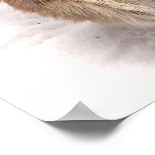 Bunny Seeking Shelter Poster (Hoek)