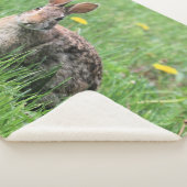 Bunny Sherpa Deken (3/4)