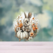 Bunny Shirt Country Pumpkin Acryl Bord (Neutraal)