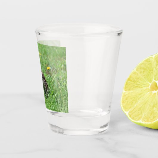 Bunny Shot Glas (Rechts)