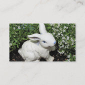 Bunny Sjabloon! Visitekaartje (Achterkant)