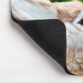 bunny sniffing muismat (Hoek)