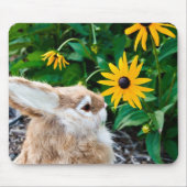 bunny sniffing muismat (Voorkant)