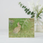 Bunny So Cute Briefkaart (Staand voorkant)