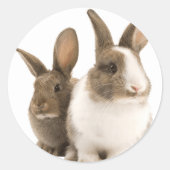 Bunny stickers (Voorkant)
