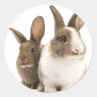 Bunny stickers