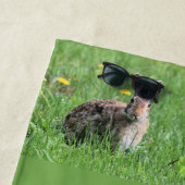 Bunny Strandlaken (In situ)