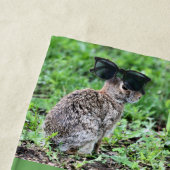 Bunny Strandlaken (In situ)