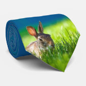 Bunny Stropdas (Opgerold)