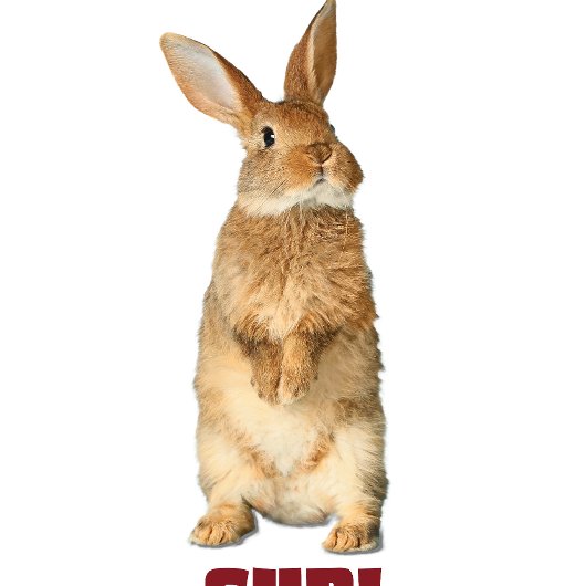 Bunny Sup! T-Shirt