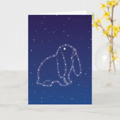 Bunny Sympathy Kaart (Gele Bloem)