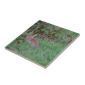 Bunny Tegeltje (Zijkant)
