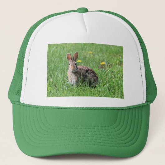 Bunny Trucker Pet (Voorkant)