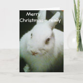 BUNNY VIERT "KERST" FEESTDAGEN KAART (Voorkant)